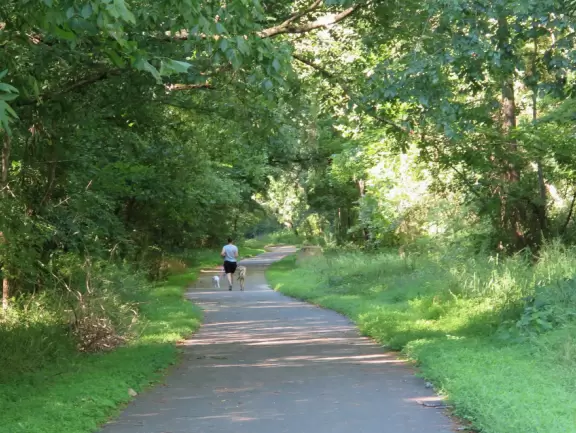 Pretty greenway past a swamp, with horrible sewer cylinders.