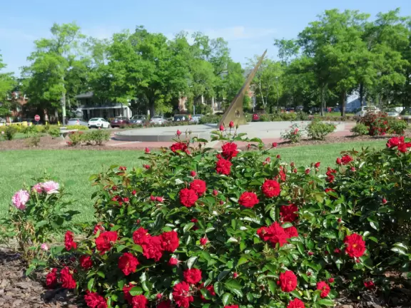 Historic buildings, sunny quad where students hang out, flowers and old trees, and fun student center area.