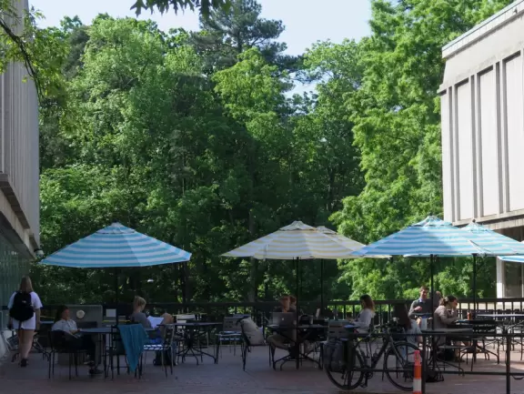 Historic buildings, sunny quad where students hang out, flowers and old trees, and fun student center area.