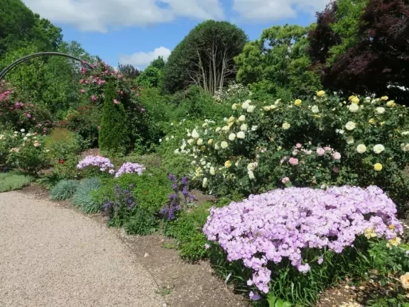 Beautiful plantings with huge flowers and large splashes of color!