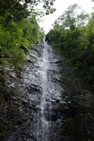 A lovely high waterfall after a hike through lush forest.
