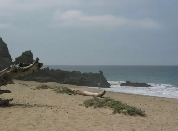 Beach with sweet shade trees in a barren area.