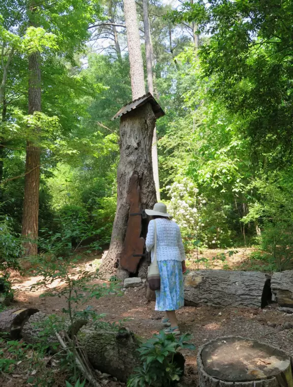 A forest and some flower&nbsp;bushes with a plain house where events are held.