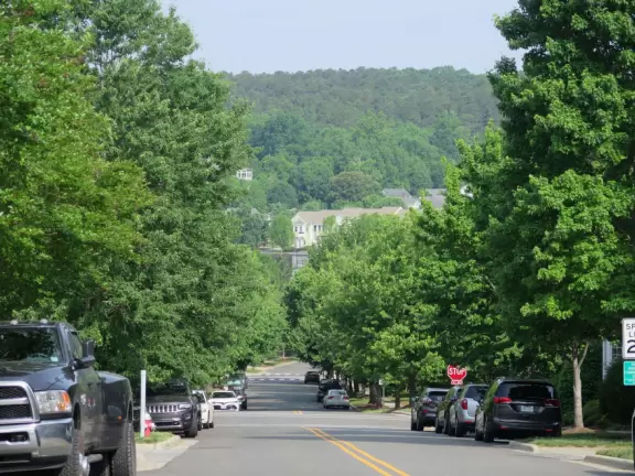 Cute area with outdoor cafes, flower boxes, church steeple with chimes, and village green&nbsp;where family events such as movie night or games night are held.