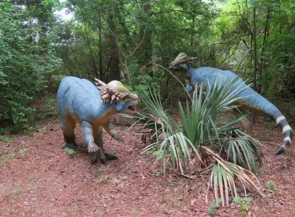 Amazing museum and grounds with so much for kids to do!