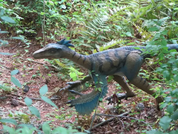 Amazing museum and grounds with so much for kids to do!