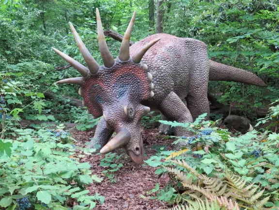 Amazing museum and grounds with so much for kids to do!