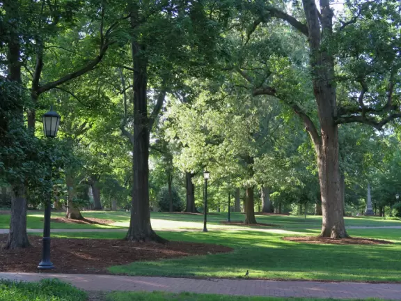 Historic buildings, sunny quad where students hang out, flowers and old trees, and fun student center area.