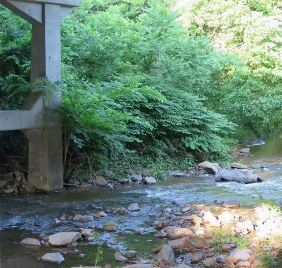 Lovely shady greenway- great for a long walk.
