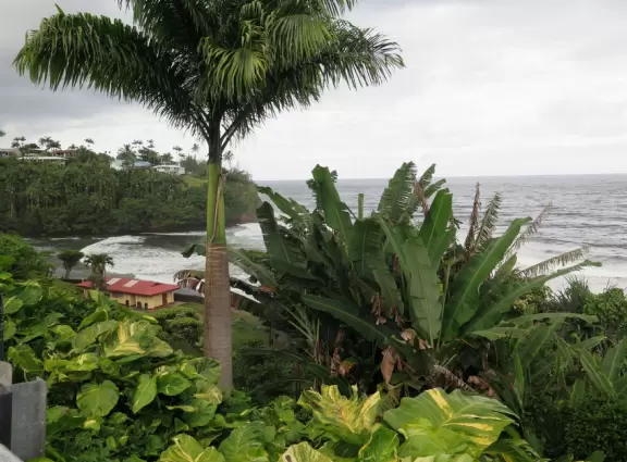 Honoli'i (Honolii) Beach Park has a beautiful headland, tropical vegetation, and a popular surfbreak.