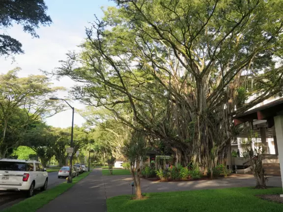 Nice place to stroll around and eat a meal.