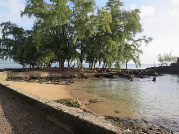 Beautiful little park on an island with a white pedestrian bridge.