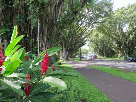 Nice place to stroll around and eat a meal.