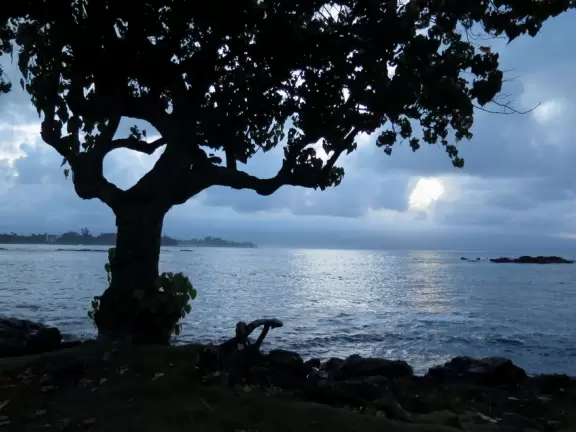 A tiny black sand beach, emerald green springs, grassy knolls, a lifeguard, and warm-water swimming or body boarding.