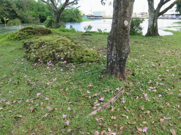 Boats and kayaks in the water, while local families have big gatherings on the grass.