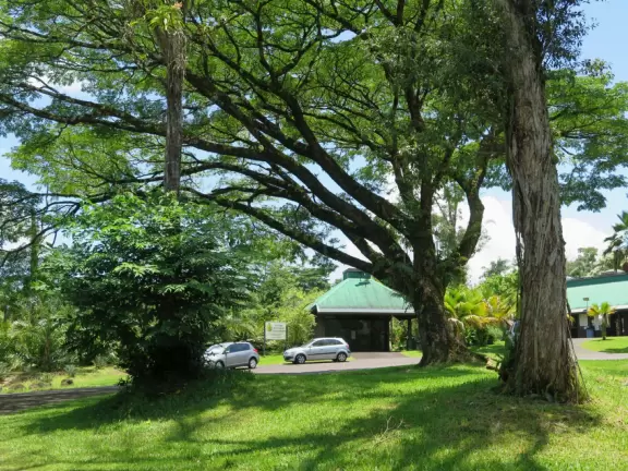 Pana'ewa (Panaewa) Zoo has gorgeous vegetation and flowers. Some of the animals seem happy. Huge, beautiful playground for your kids!
