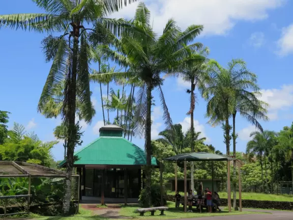 Pana'ewa (Panaewa) Zoo has gorgeous vegetation and flowers. Some of the animals seem happy. Huge, beautiful playground for your kids!