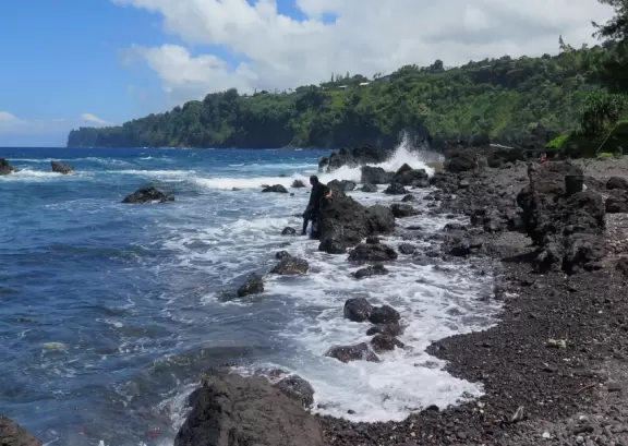 Rocky beach park with so much atmosphere.