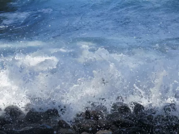 Rocky beach park with so much atmosphere.