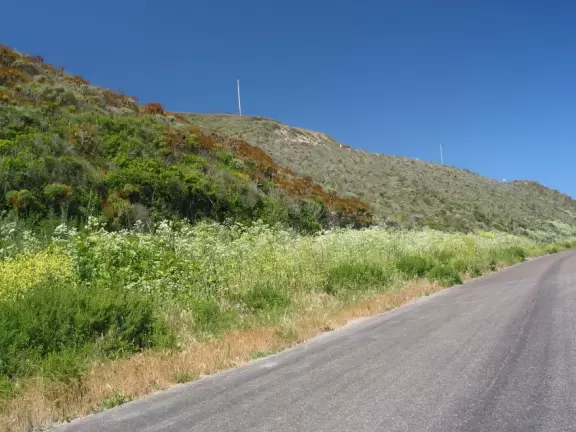 Summertime flower fields, mountains, rocket launches, a beach (often closed), and a wonderful mission.