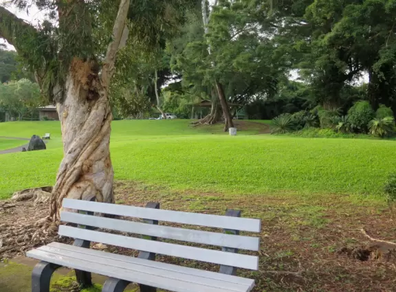 Green, green&nbsp;gardens with Japanese bridges and ponds, and views of silvery Hilo Bay and Mauna Kea.