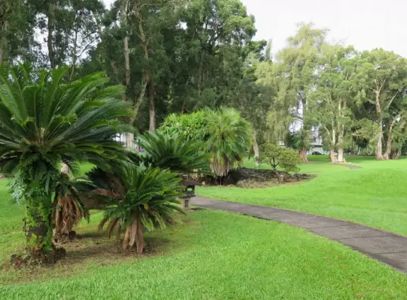 Green, green&nbsp;gardens with Japanese bridges and ponds, and views of silvery Hilo Bay and Mauna Kea.