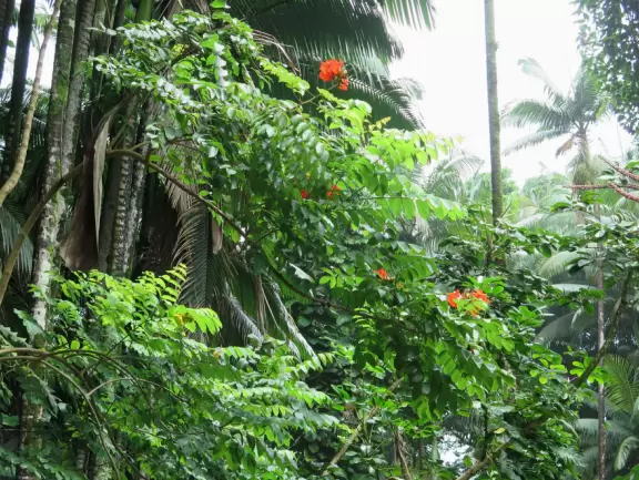 Beautiful hike above the ocean with waves crashing below.
