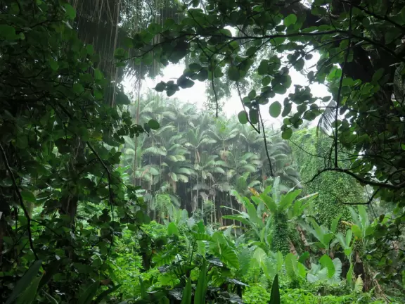 Beautiful hike above the ocean with waves crashing below.