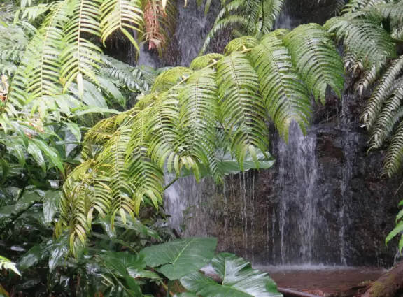 One of the nicest spots on the island!