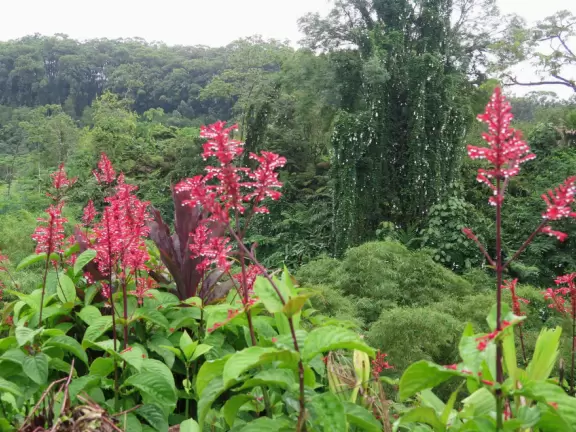 One of the nicest spots on the island!