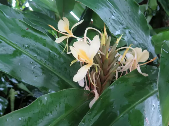 One of the nicest spots on the island!