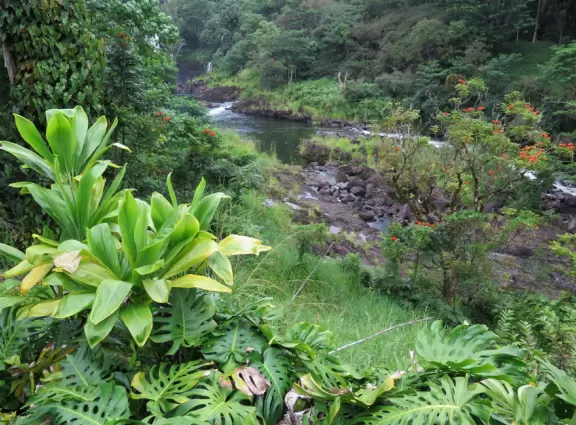Lookout at a distant waterfall and turbulent river, from a nice neighborhood.