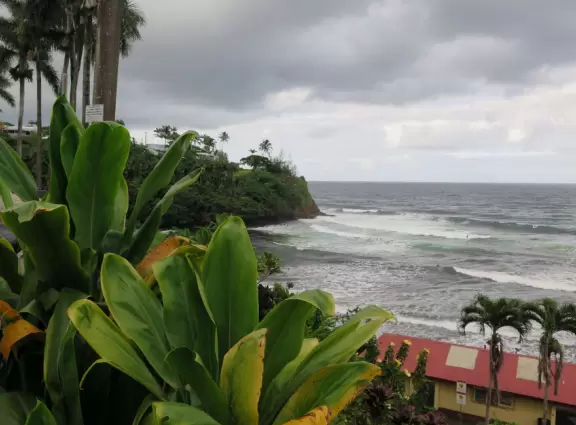 Honoli'i (Honolii) Beach Park has a beautiful headland, tropical vegetation, and a popular surfbreak.