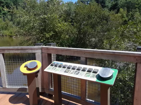 Amazing museum and grounds with so much for kids to do!