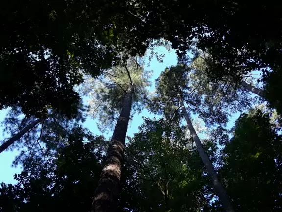 Popular three mile hard-packed dirt loop.