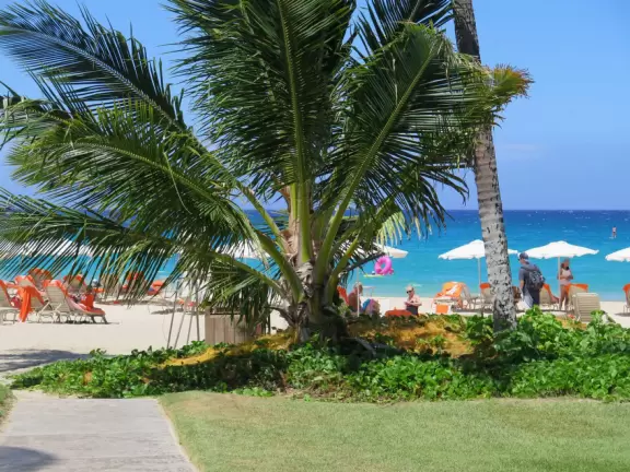 Wonderful place to swim by day, and to watch manta rays by night!