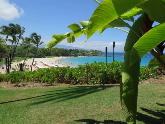 Wonderful place to swim by day, and to watch manta rays by night!