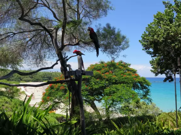 Wonderful place to swim by day, and to watch manta rays by night!