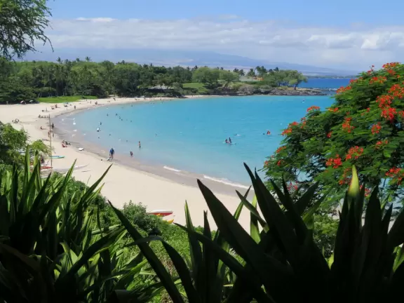 Wonderful place to swim by day, and to watch manta rays by night!