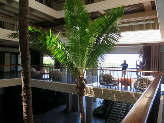 Wonderful place to swim by day, and to watch manta rays by night!