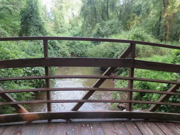 A straight shady path beneath forest trees, with sewer cylinders.