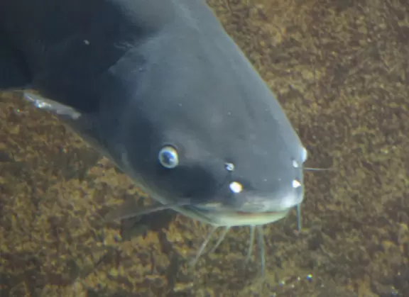 Nice, large aquarium near the beach.