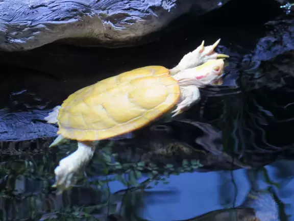 Nice, large aquarium near the beach.