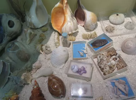 Nice, large aquarium near the beach.