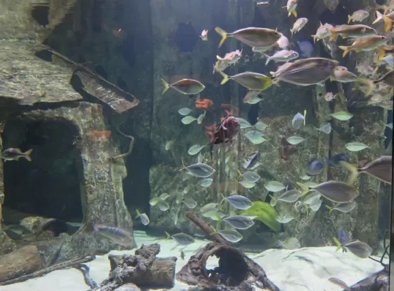 Nice, large aquarium near the beach.