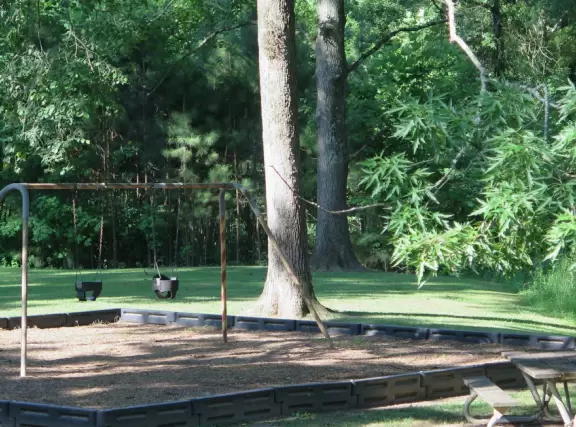 A beautiful park with very tall trees, winding paths, blossoming trees, and lovely patches of grass.