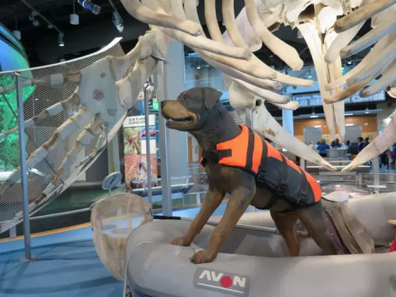 Two beautiful modern buildings full of attractive exhibits including some live animals.