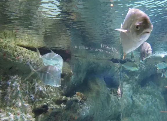 Two beautiful modern buildings full of attractive exhibits including some live animals.