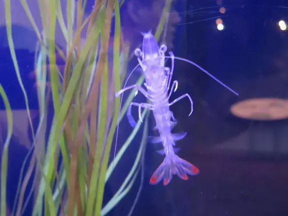 Two beautiful modern buildings full of attractive exhibits including some live animals.