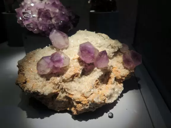 Two beautiful modern buildings full of attractive exhibits including some live animals.